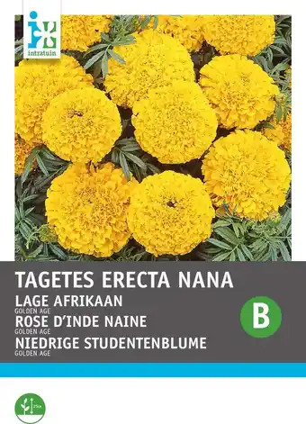 Intratuin Intratuin bloemenzaad afrikaantje goud-oranje (tagetes golden age') aanbieding