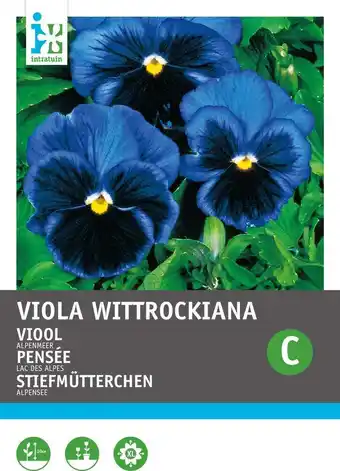 Intratuin Intratuin bloemenzaad viooltje donkerblauw (viola wittrockiana 'alpenmeer') aanbieding