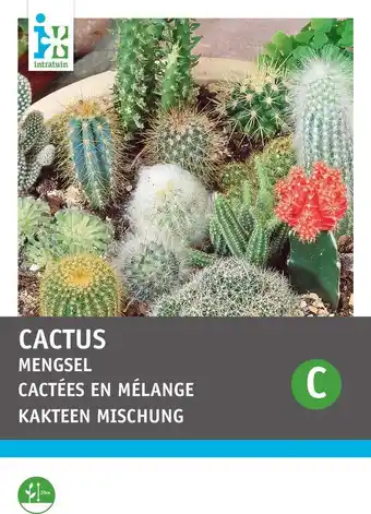 Intratuin Intratuin kamerplantenzaad cactus mengsel aanbieding
