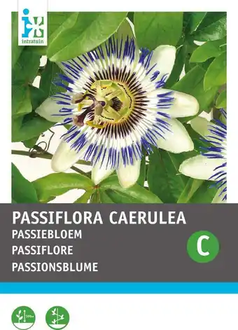 Intratuin Intratuin bloemenzaad passiebloem blauw (passiflora caerulea) aanbieding