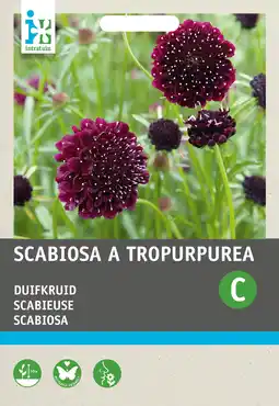 Intratuin Intratuin bloemenzaad duifkruid paars (scabiosa atropurpurea) aanbieding