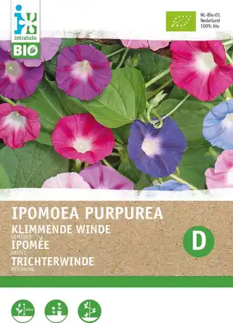 Intratuin Biologische intratuin bloemenzaad dagbloem gemengd (ipomoea purpurea ) aanbieding
