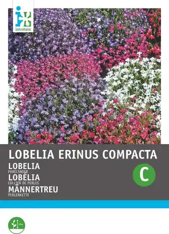 Intratuin Intratuin bloemenzaad lobelia gemengd (lobelia erinus 'parelsnoer') aanbieding