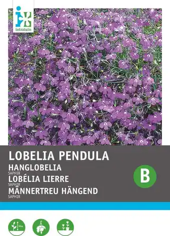 Intratuin Intratuin bloemenzaad lobelia blauw met wit oog (lobelia erinus pendula) aanbieding