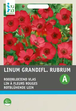 Intratuin Intratuin bloemenzaad vlas rood (linum grandiflorum) aanbieding