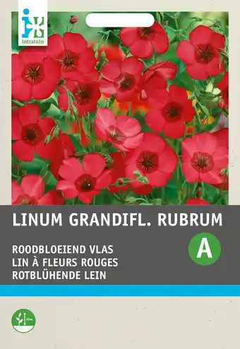 Intratuin Intratuin bloemenzaad vlas rood (linum grandiflorum) aanbieding