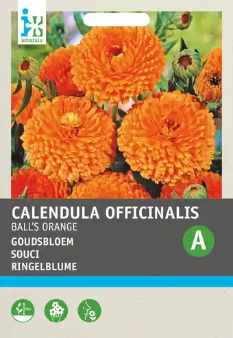 Intratuin Intratuin bloemenzaad goudsbloem dubbel oranje (calendula officinalis 'ball's oranje') aanbieding