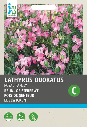 Intratuin Intratuin bloemenzaad siererwt roze (lathyrus odoratus 'royal family') aanbieding