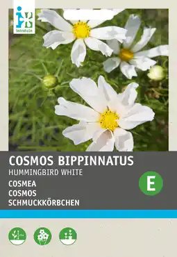 Intratuin Intratuin bloemenzaad cosmos (cosmea 'hummingbird white') aanbieding