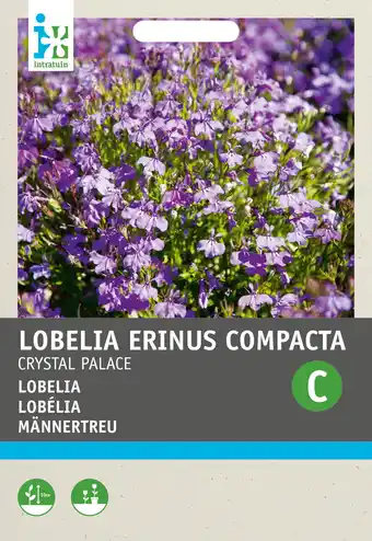 Intratuin Intratuin bloemenzaad lobelia (lobelia erinus 'crystal palace') aanbieding