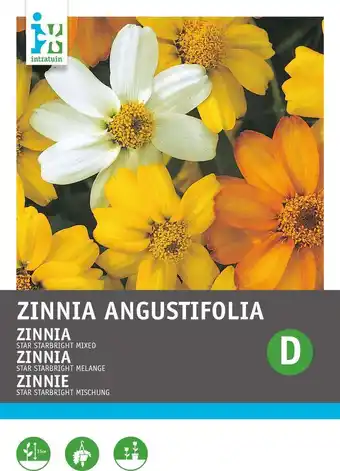 Intratuin Intratuin bloemenzaad zinnia gemengd (zinnia elegans thumbelina mix) aanbieding