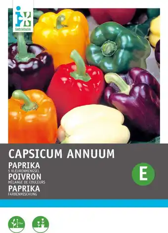 Intratuin Intratuin groentezaad paprika 5 kleurenmengsel (capsicum annuum) aanbieding