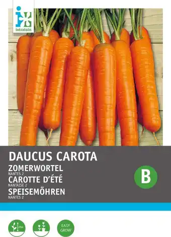 Intratuin Intratuin groentezaad wortelen (daucus carota 'nantes halflange') aanbieding