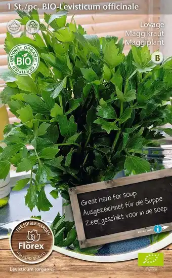 Intratuin Florex bio maggiplant (levisticum officinale) aanbieding