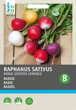 Intratuin Intratuin groentezaad radijs ronde soorten gemengd (raphanus sativus) aanbieding