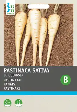 Intratuin Intratuin groentezaad pastinaak (pastinaca sativa 'guernsey') aanbieding