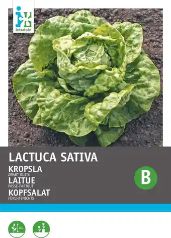 Intratuin Intratuin groentezaad kropsla (lactuca sativa 'zwart-duits') aanbieding