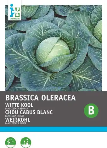 Intratuin Intratuin groentezaad witte kool (brassica oleracea 'langedijker winter') aanbieding