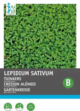 Intratuin Intratuin kiemgroentezaad tuinkers groot- of breedbladige (lepidium sativum) aanbieding