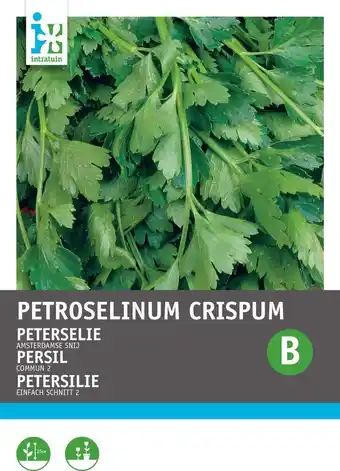 Intratuin Intratuin kruidenzaad platte snijpeterselie (petroselinum crispum 'amsterdamse snij') aanbieding