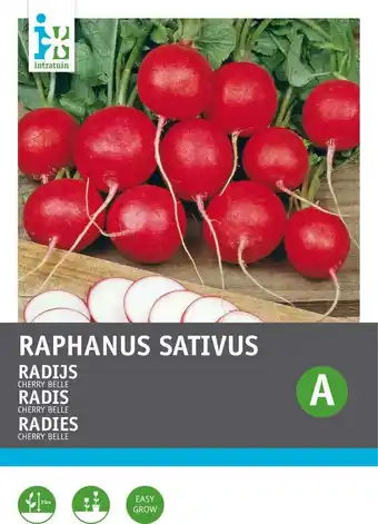 Intratuin Intratuin groentezaad radijs (raphanus sativus 'cherry belle') aanbieding