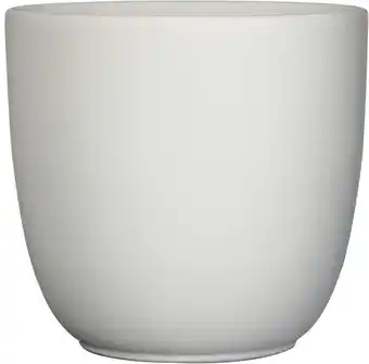 Intratuin Everydays bloempot wit d 19,5 h 18,5 cm aanbieding