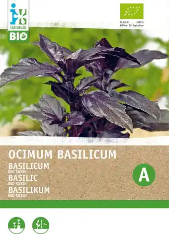 Intratuin Biologische intratuin kruidenzaad rode basilicum (basilicum 'red rubin') aanbieding