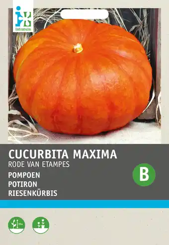 Intratuin Intratuin groentezaad pompoen (cucurbita maxima 'rode van etampes') aanbieding