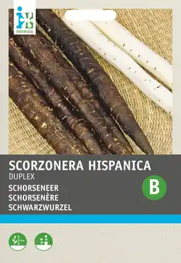 Intratuin Intratuin groentezaad schorseneren (scorzonera hispanica 'nietschieters zwart') aanbieding