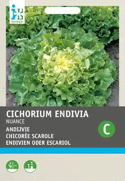 Intratuin Intratuin groentezaad andijvie (cichorium endivia 'nuance') aanbieding