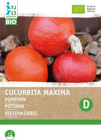 Intratuin Biologische intratuin groentezaad pompoen (cucurbita maxima 'uchiki kuri') aanbieding