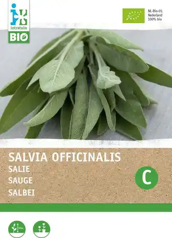 Intratuin Biologische intratuin kruidenzaad salie (salvia officinalis) aanbieding