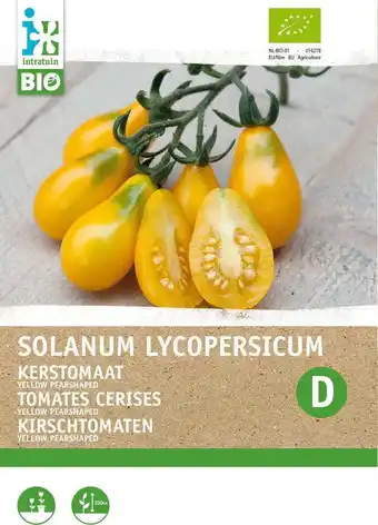 Intratuin Intratuin biologische groentezaad tomaat (lycopersicon esculentum 'yellow pearshaped') aanbieding