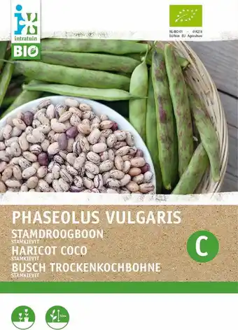 Intratuin Biologische intratuin groentezaad stamdroogboon laag (phaseolus vulgaris 'kievit laag') aanbieding