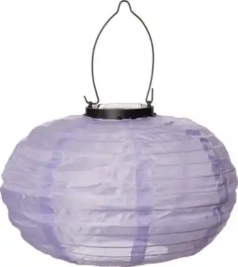 Intratuin Intratuin solar lampion paars d 25 h 23 cm aanbieding