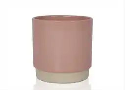 Intratuin Gina da bloempot eno roze d 13 h 13 cm aanbieding