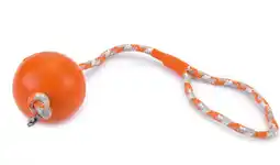 Intratuin Beeztees hondenspeelgoed bal met koord oranje 30 cm aanbieding