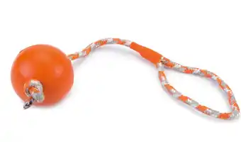 Intratuin Beeztees hondenspeelgoed bal met koord oranje 30 cm aanbieding