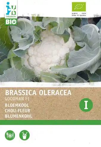 Intratuin Intratuin biologische groentezaad bloemkool (brassica oleracea 'goodman f1') aanbieding
