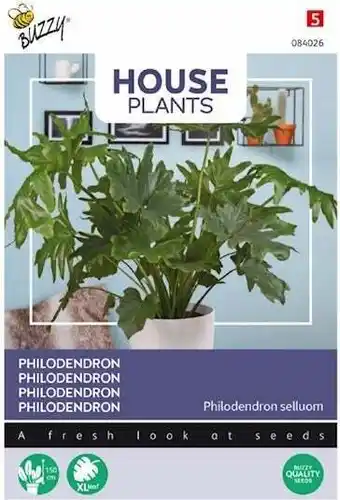 Intratuin Buzzy house plants kamerplantenzaad philodendron (philodendron selluom) aanbieding