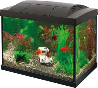 Intratuin Superfish aquarium start 20 goldfish kit zwart 20 l aanbieding