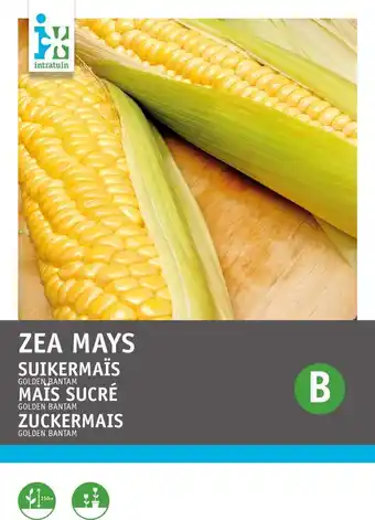 Intratuin Intratuin groentezaad suikermaïs (zea mays 'golden bantam') aanbieding