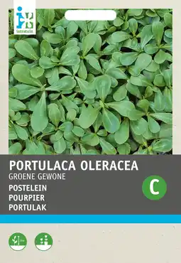 Intratuin Intratuin groentezaad postelein (portulaca oleracea 'gewone groene') aanbieding