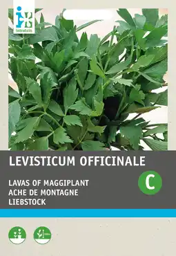 Intratuin Intratuin kruidenzaad lavas of maggiplant (levisticum officinalis) aanbieding