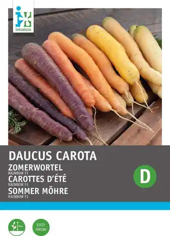 Intratuin Intratuin groentezaad regenboog wortel (daucus carota var. sativus) aanbieding