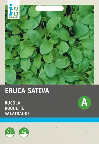 Intratuin Intratuin groentezaad rucola (eruca sativa 'coltivata') aanbieding