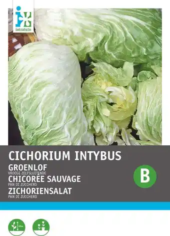 Intratuin Intratuin groentezaad groenlof (cichorium intybus 'vroege zelfsluitende') aanbieding