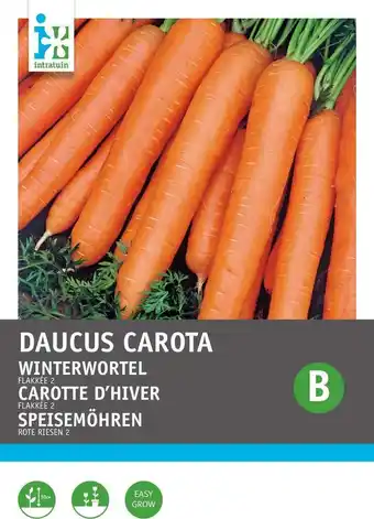 Intratuin Intratuin groentezaad wortelen (daucus carota 'flakkeese stomppunt') aanbieding