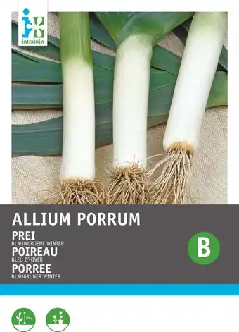 Intratuin Intratuin groentezaad prei (allium porrum 'blauwgroene winter') aanbieding