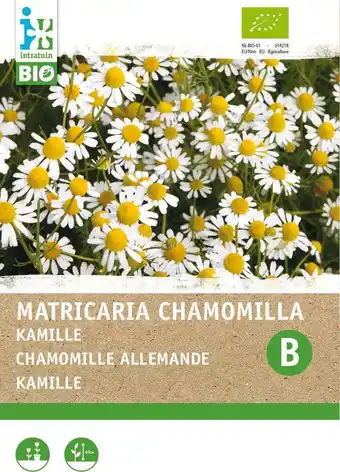 Intratuin Intratuin biologische kruidenzaad kamille (matricaria chamomilla) aanbieding